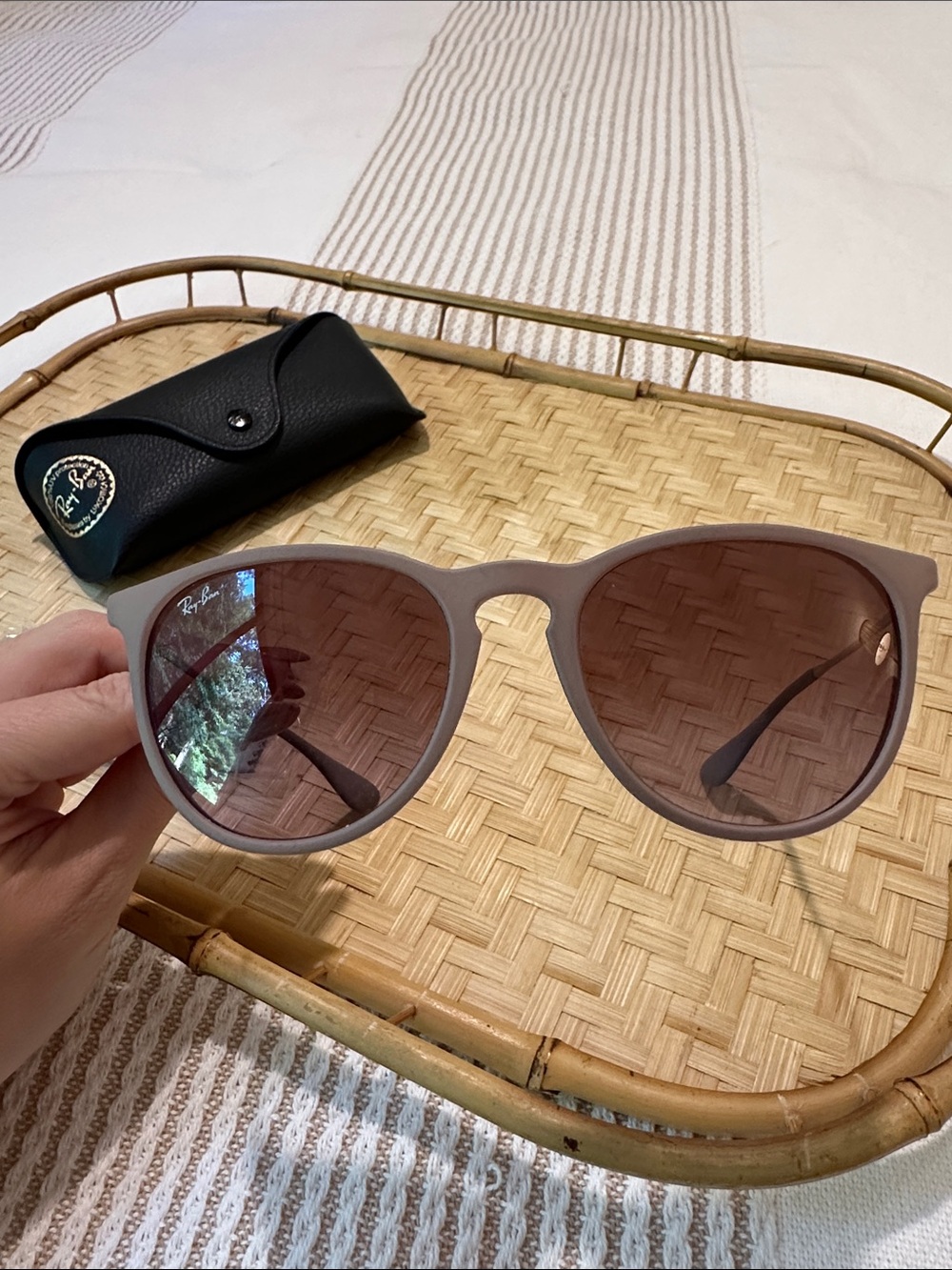 Ray-Ban Erika Classic (RB4171) - Picture 4 of 5
